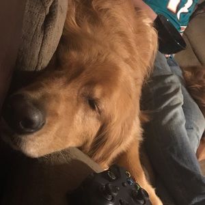 Meet your Posher, Janet